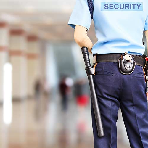 Retail Security services